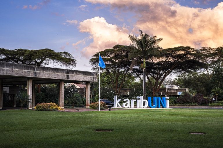 YTJN Nairobi Tax Talks RoundUp: Third Session of the Intergovernmental Negotiating Committee to Develop a UN Framework Convention on International Tax Cooperation Day 6